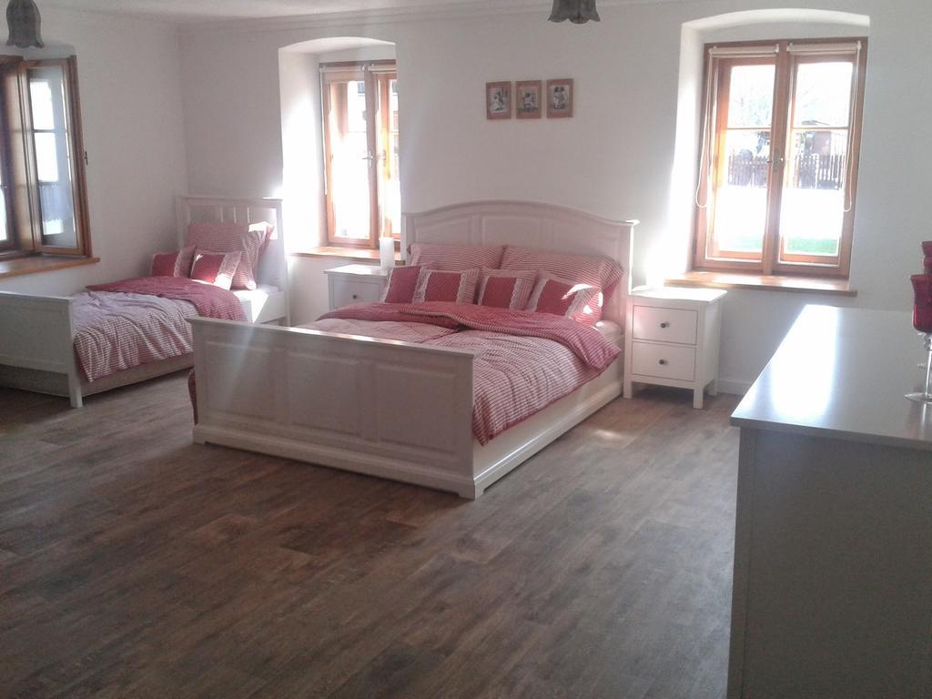 Penzion A Hospoda Na Statku Hluboka nad Vltavou Room photo